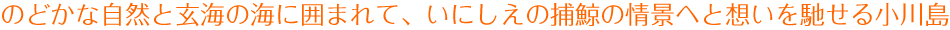 のどかな自然と玄海の海に囲まれて、いにしえの捕鯨の情景へと想いを馳せる小川島