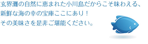 玄界灘の自然に恵まれた小川島だからこそ味わえる、新鮮な海の幸の宝庫ここにあり！その美味さを是非ご堪能ください。