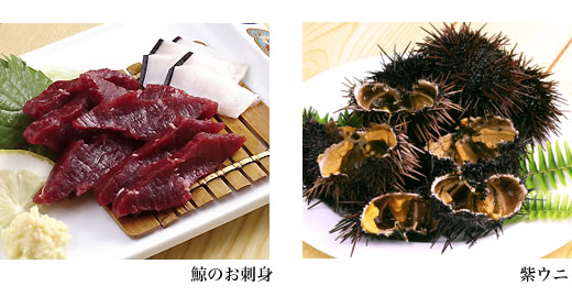 鯨のお刺身・紫ウニ
