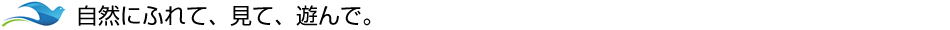 自然にふれて、見て、遊んで。